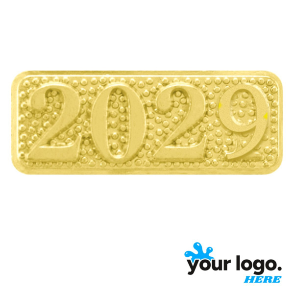 2029 Chenille Lapel Pin Thumbnail