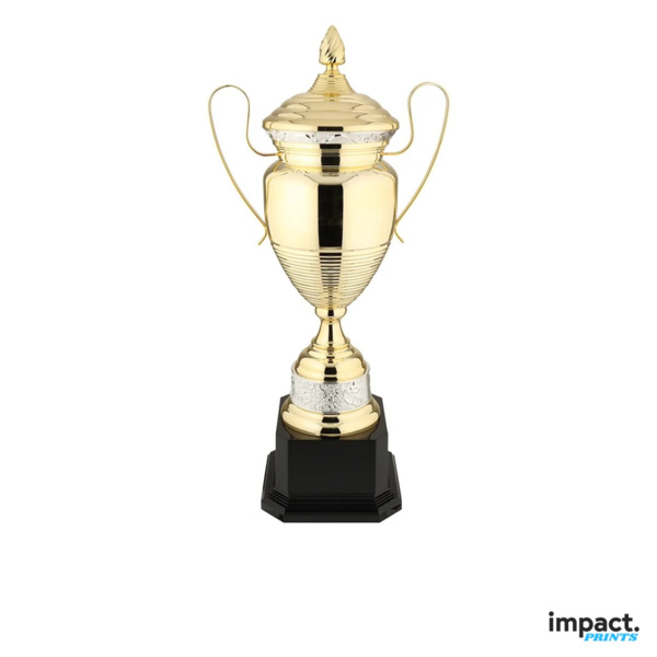 Naples Gold Metal Trophy Cup Thumbnail