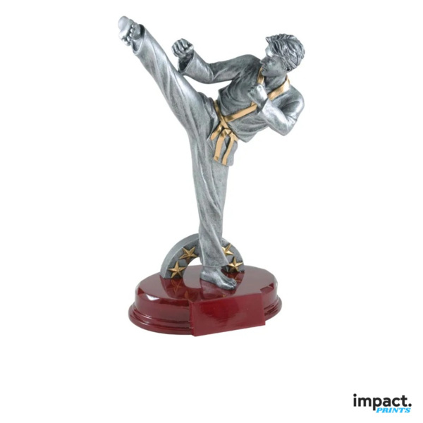 Men's Karate Resin Trophy Thumbnail