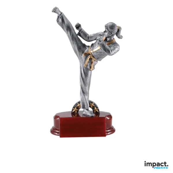 Women's Karate Resin Trophy Thumbnail