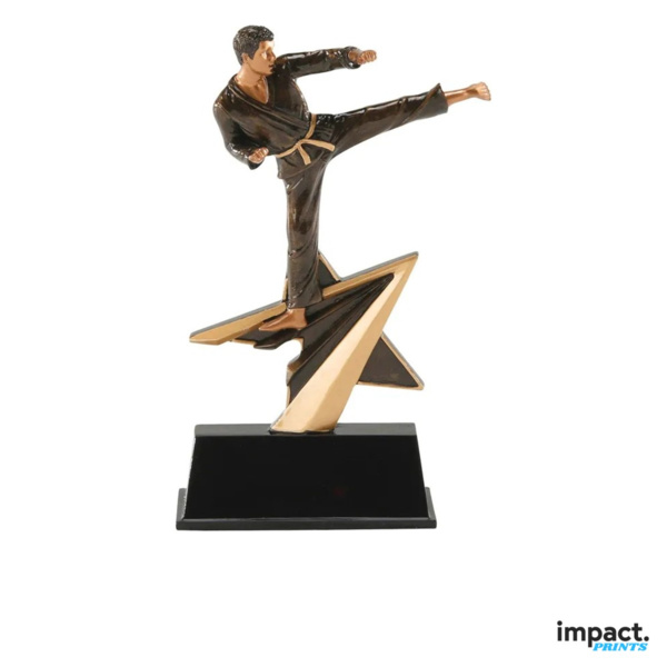 Star Power Karate Martial Arts Resin Trophy Thumbnail